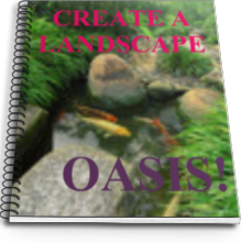 landscape oasis